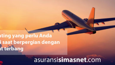 asuransi penerbangan